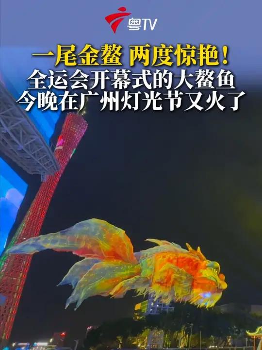 还记得十五运会开幕式上那条金光闪闪的大鳌鱼吗?今晚广州国际灯光节,它又“闪亮登场”了!(广
