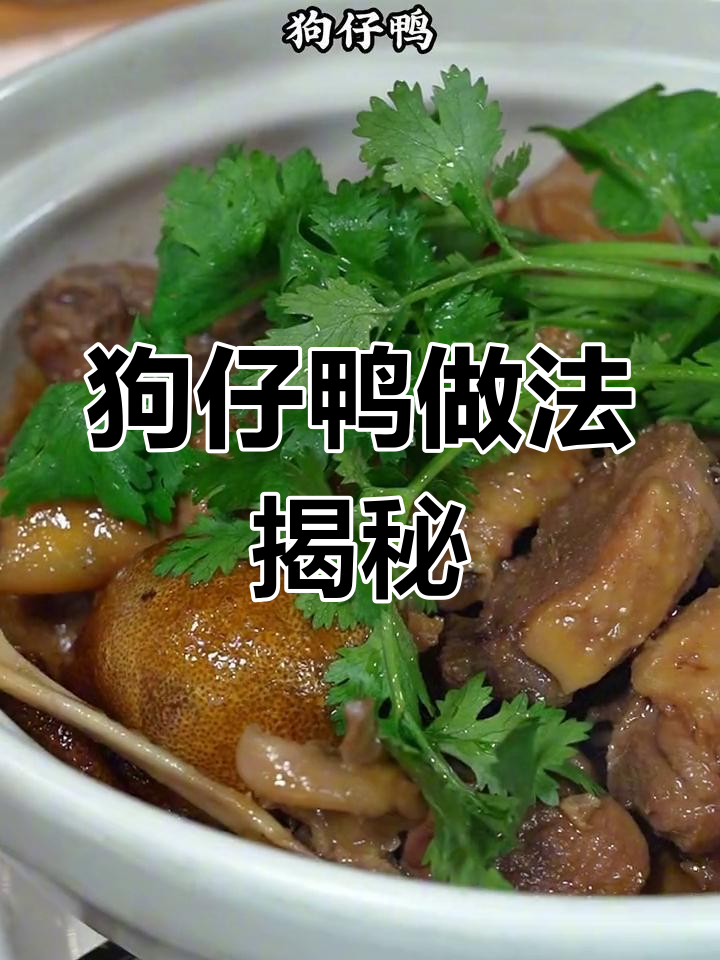 广东怀旧狗仔鸭,香气扑鼻让人停不下来