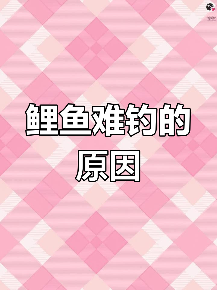 鲤鱼跳水繁殖忙,钓鱼难度大