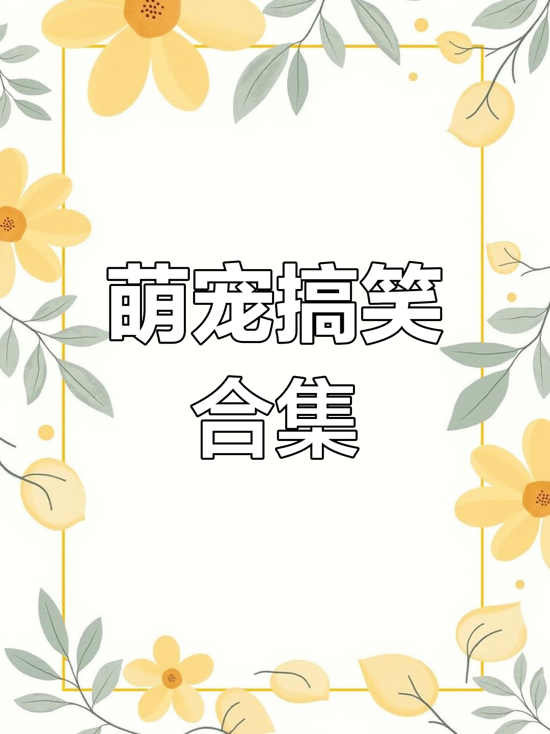 小怂猫搞笑日常,皮皮虾来袭!