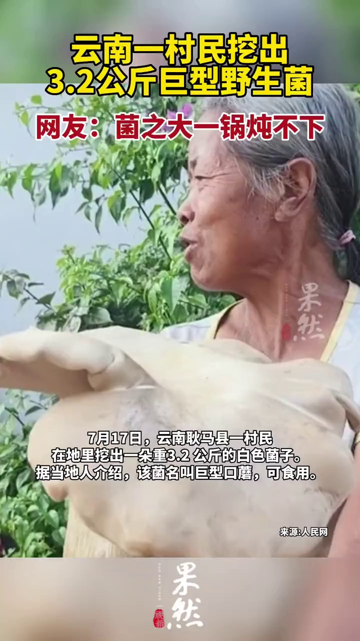 网友:菌之大一锅炖不下