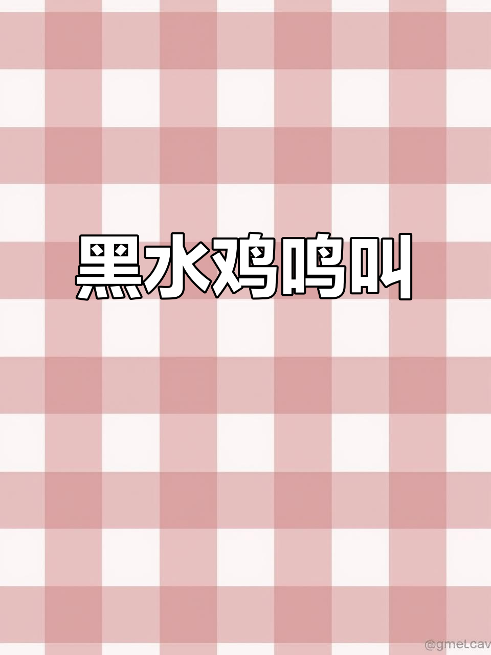 乡村田野里的黑水鸡叫声,带你感受大自然的魅力