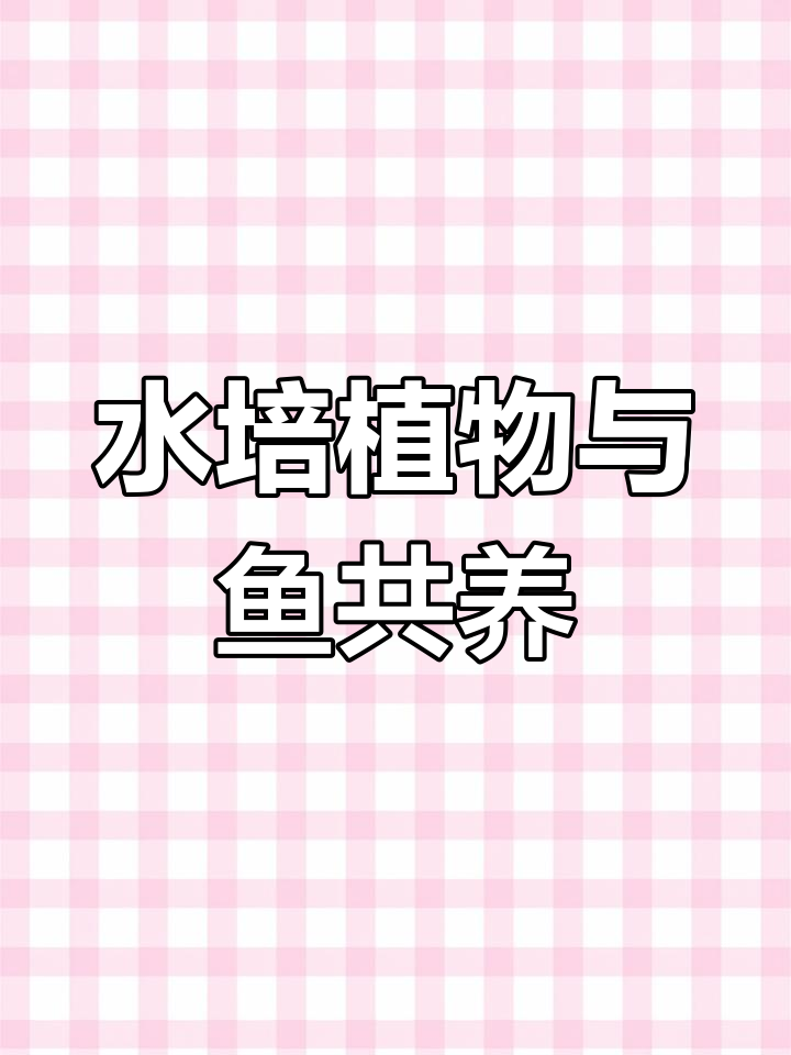 鱼缸造景新玩法:绿萝水培轻松搞定,鱼儿也能共养