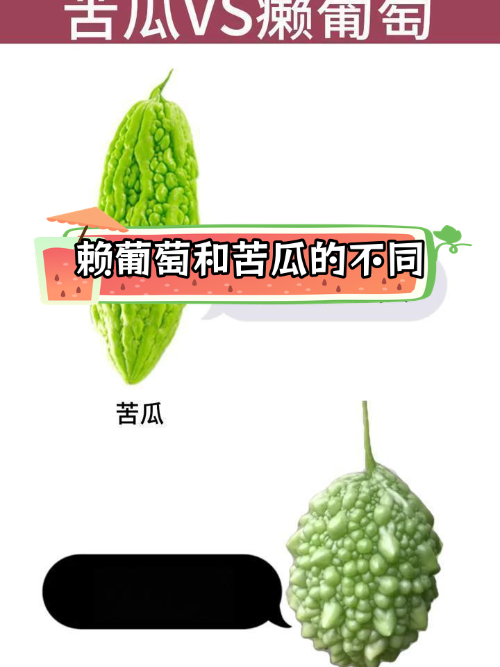 赖葡萄与苦瓜的区别解析