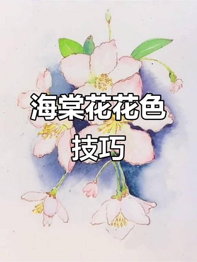 海棠花水彩教程,轻松画出浅色调花朵