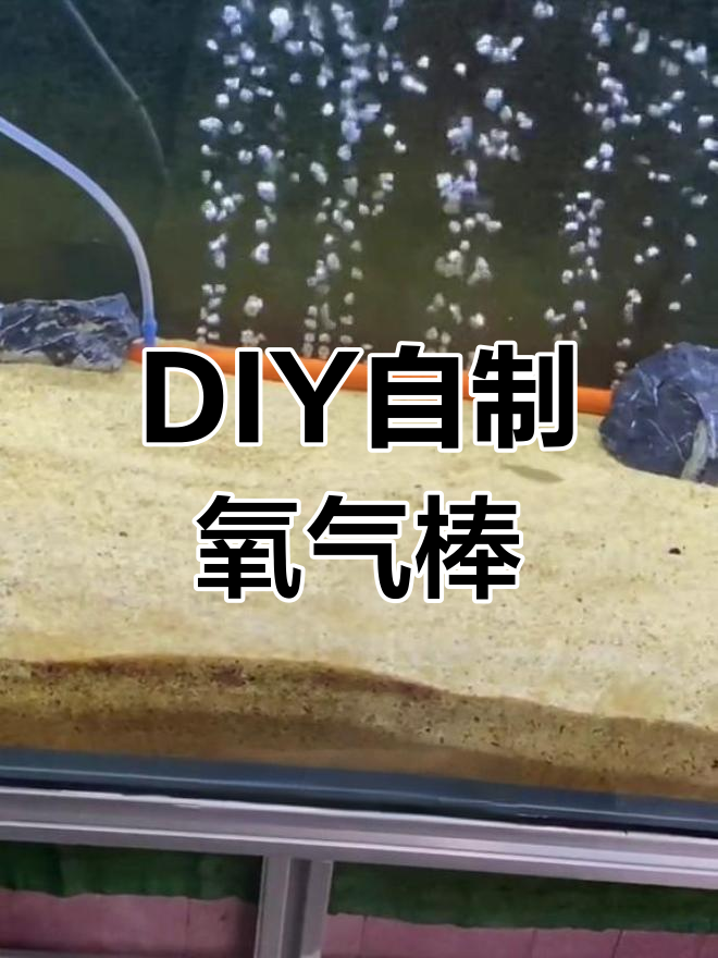 自制气泡棒,打造独特鱼缸供氧方式