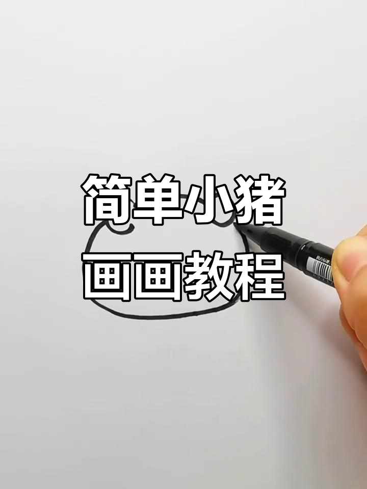 小猪简笔画,轻松学会画可爱小动物