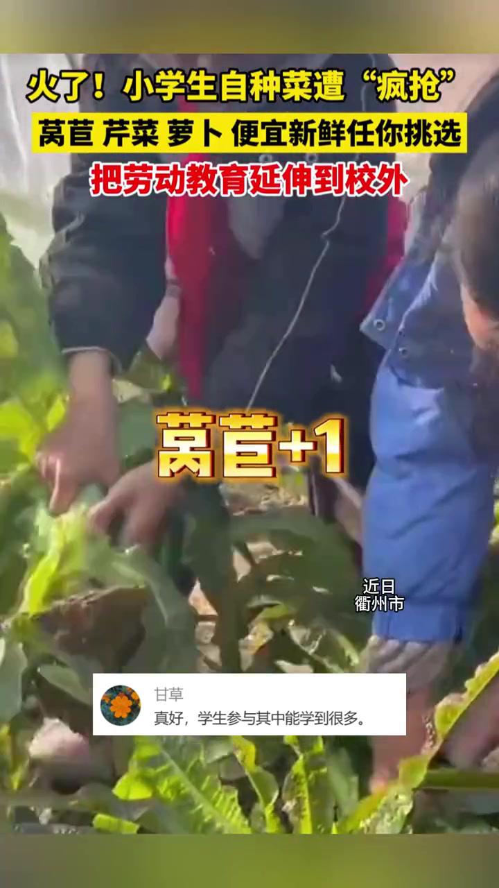 小学生的劳动基地迎来大丰收!孩子们将蔬菜运去农贸市场