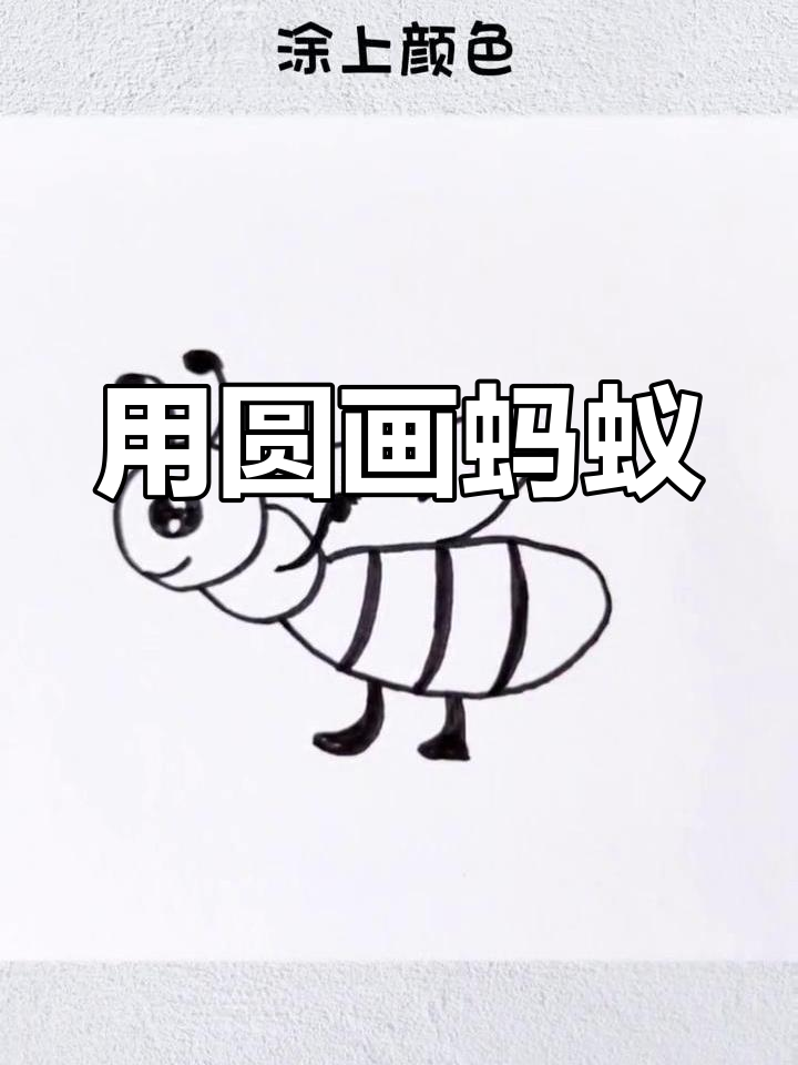 圆形蚂蚁搬家简笔画教程