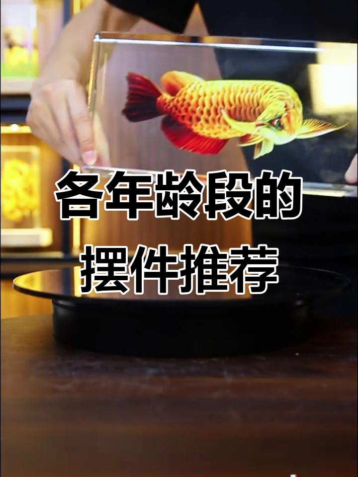 不同年龄段的男人适合摆放什么摆件?从锦鲤到金龙鱼的寓意选择