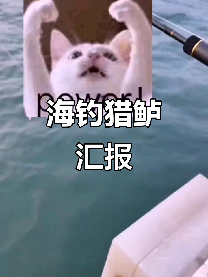 深海船钓大丰收，鲈鱼接连上钩！