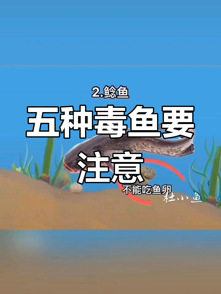 钓鱼钓到这些鱼,小心中毒!五种有毒鱼类大揭秘