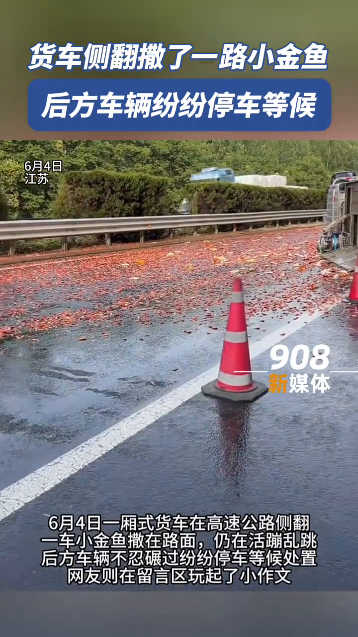 货车侧翻撒了一地小金鱼,后车不忍碾压纷纷等候