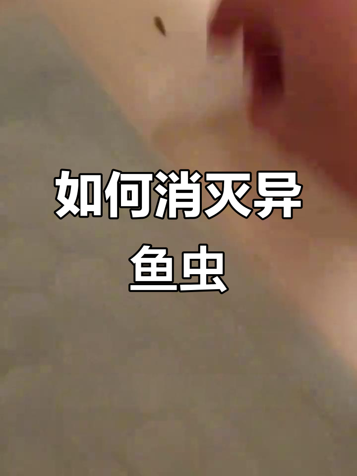 为什么家里会滋生衣鱼虫?如何彻底清除它们