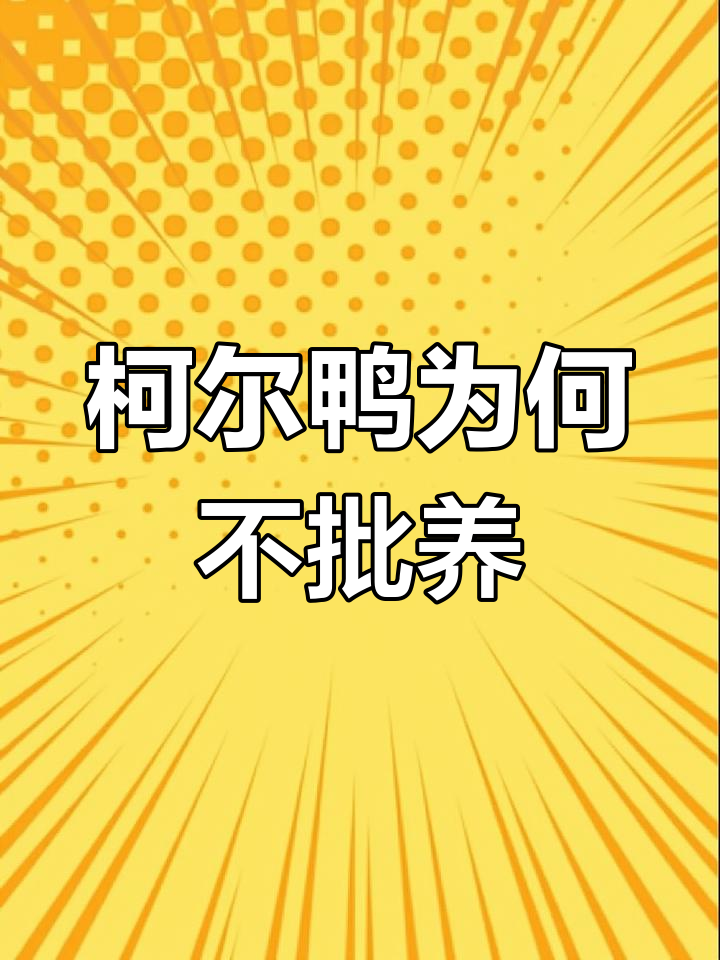 为什么柯尔鸭不能批量养殖?风险与市场现状分析
