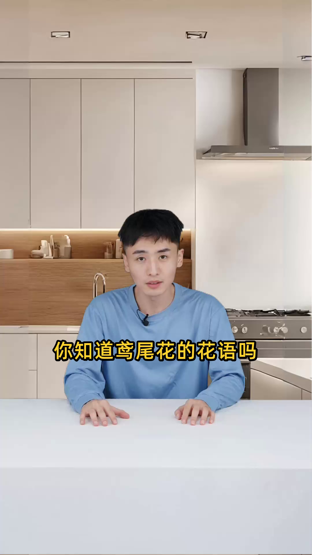 鸢尾花的花语包括热情、友谊、爱情等,寓意丰富,象征美好与希望