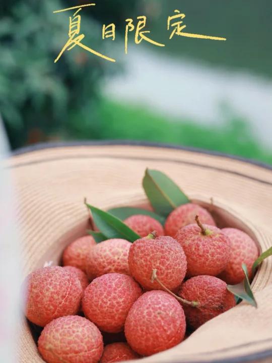 荔枝文案|小岛无核荔枝