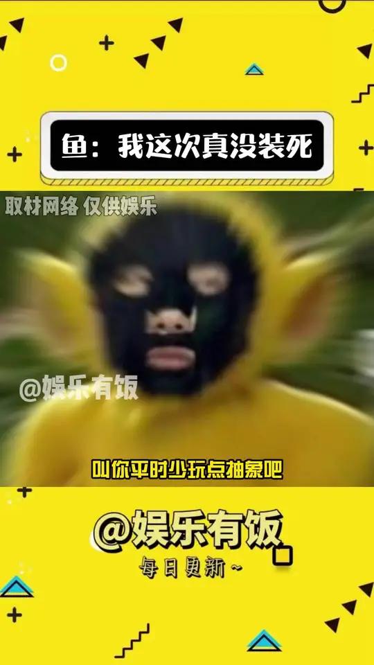 鱼:我这次真没装死