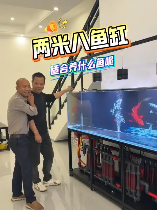 两米八的鱼缸,养什么鱼合适?听听兄弟们怎么说