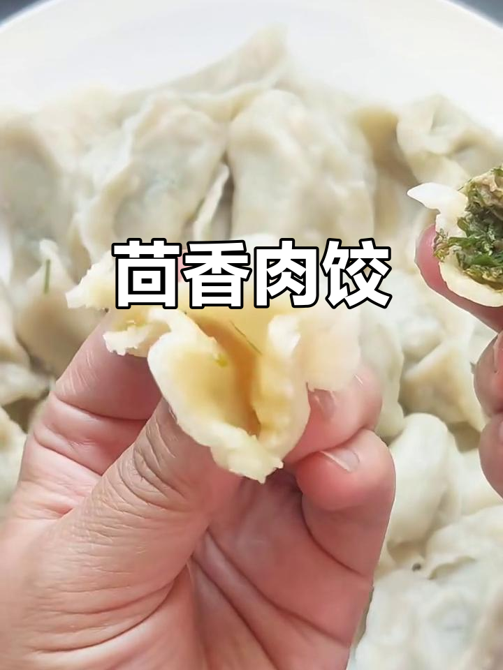 茴香猪肉馅饺子,鲜嫩多汁又清爽!