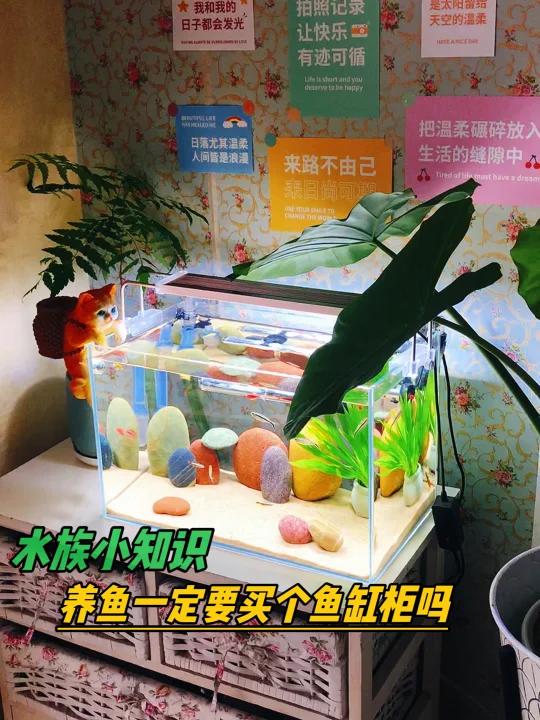 水族小知识,养鱼一定需要个专业鱼缸柜吗?