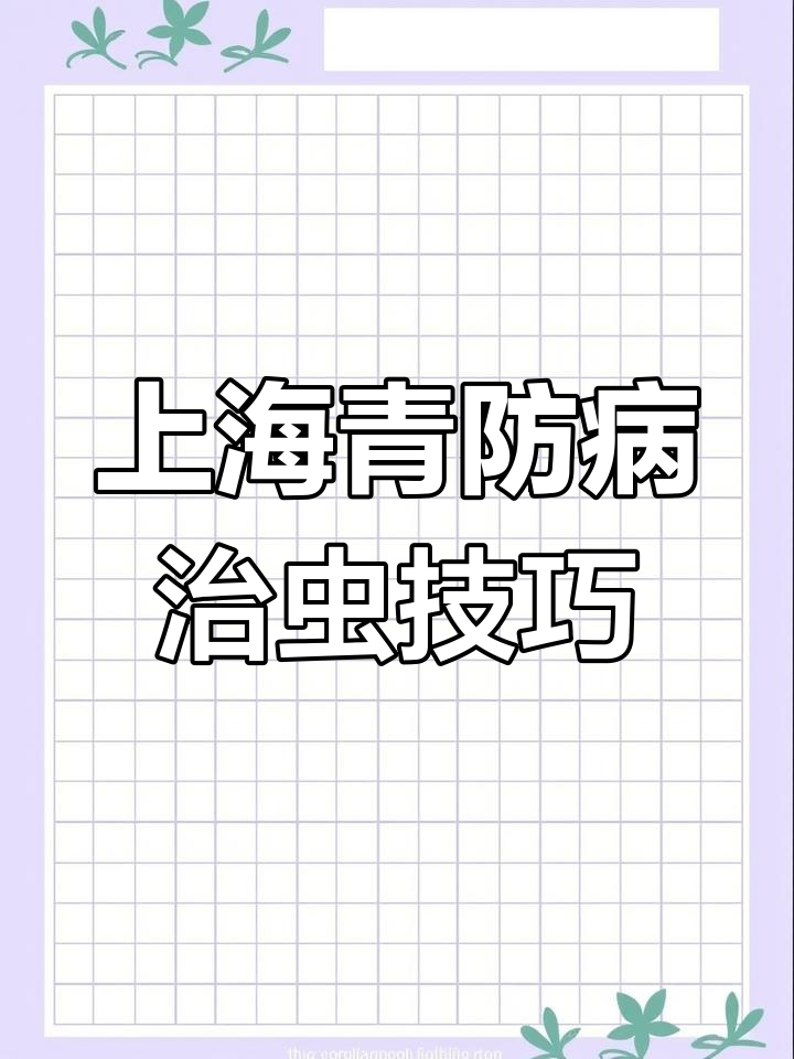 上海青种植病虫害防治全攻略