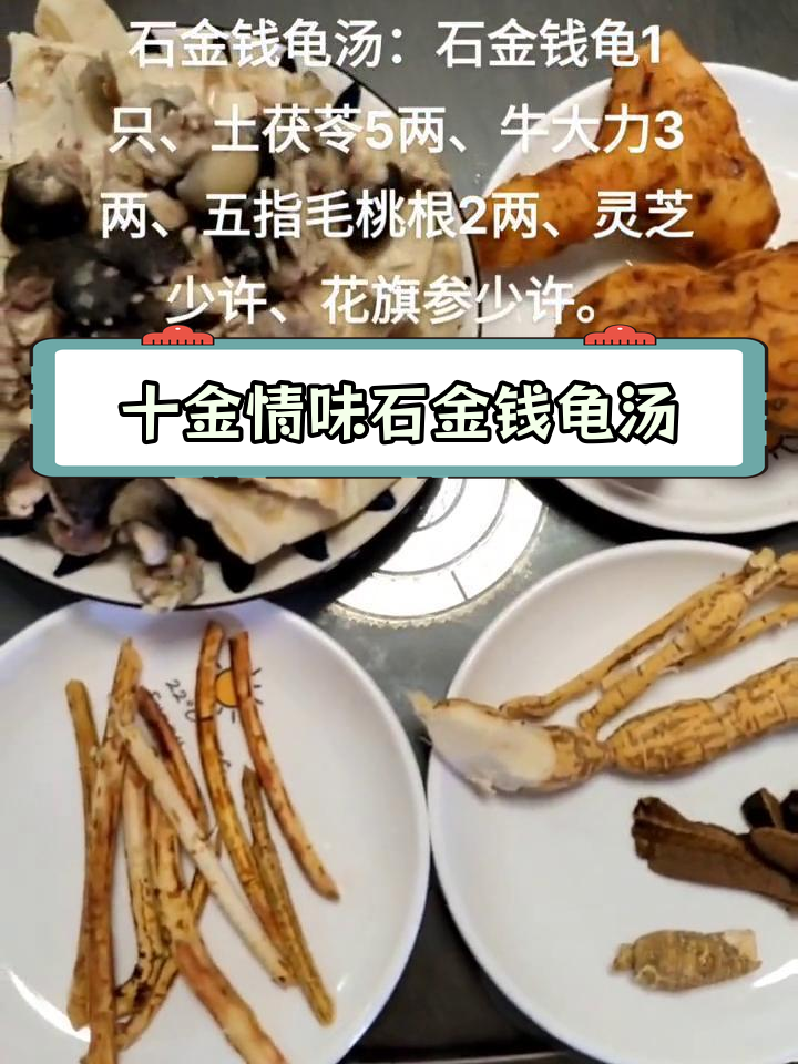 石金钱龟汤:滋补养生,增强免疫力