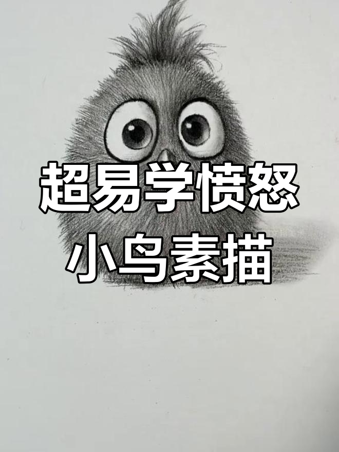 超级简单愤怒小鸟素描,牙签线画出完美毛发