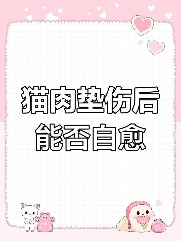 猫咪肉垫受伤能恢复吗?