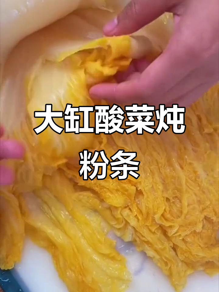 东北酸菜炖粉条,大缸做法超简单