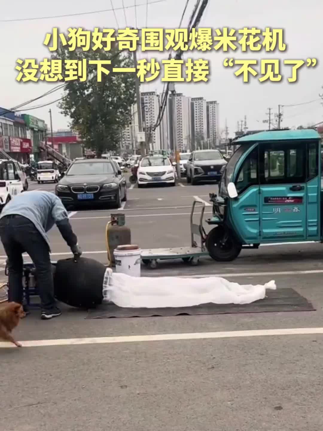 「视频」小狗好奇围观爆米花机,没想到下一秒直接“不见了”,狗:我不就看个热闹吗