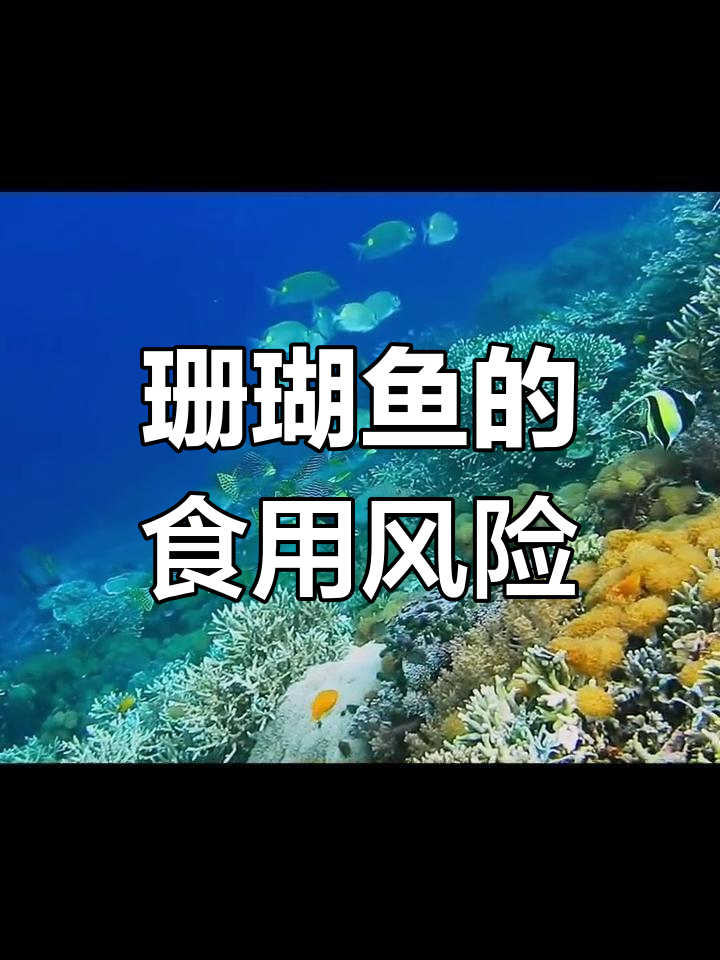 珊瑚鱼美丽却未必可食,谨慎选择,放生更稳妥!