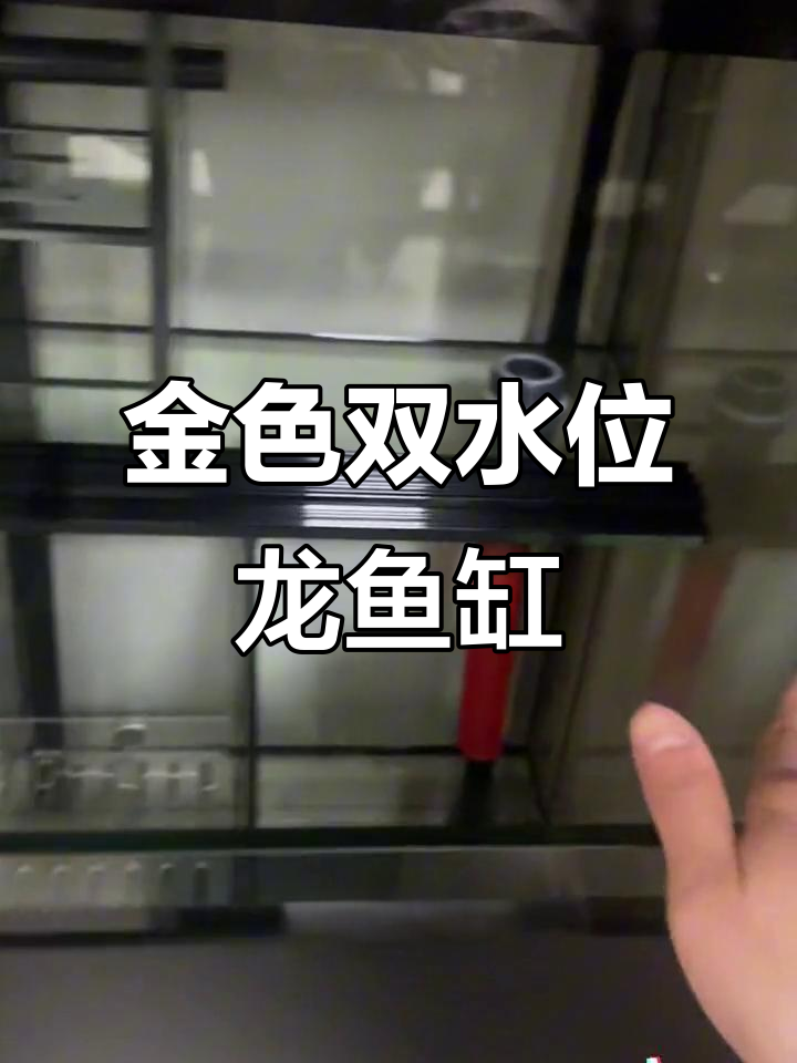 尊贵金126龙鱼缸,超白玻璃与铝合金完美结合