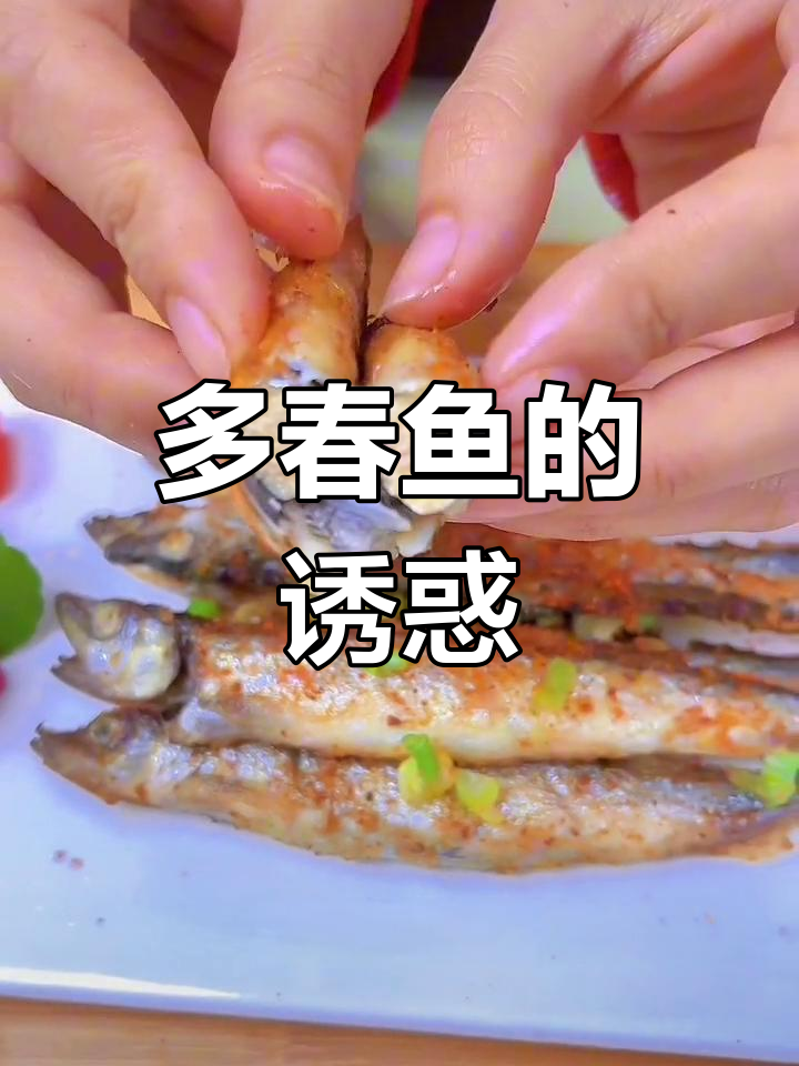 北极深海多春鱼,鲜美营养,软糯口感让人欲罢不能!