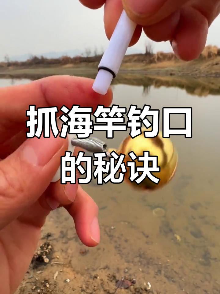 海竿钓鱼技巧:如何用灯光和铃声捕捉鱼口