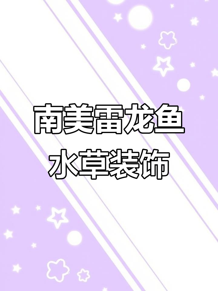 溪流石与原生缸造景，打造南美雷龙鱼微景观