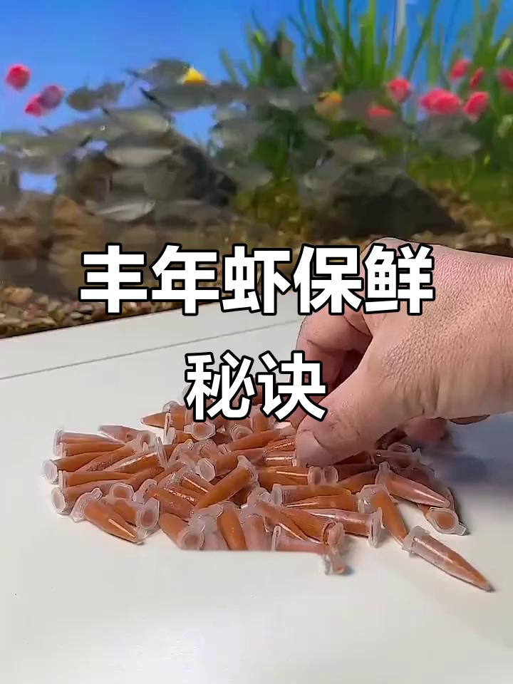 丰年虾冷冻保存,解冻后喂食,小鱼苗最爱!