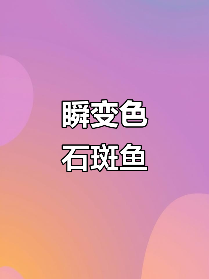 石斑鱼:能瞬间变色的海洋魔术师,揭秘雌雄同体现象