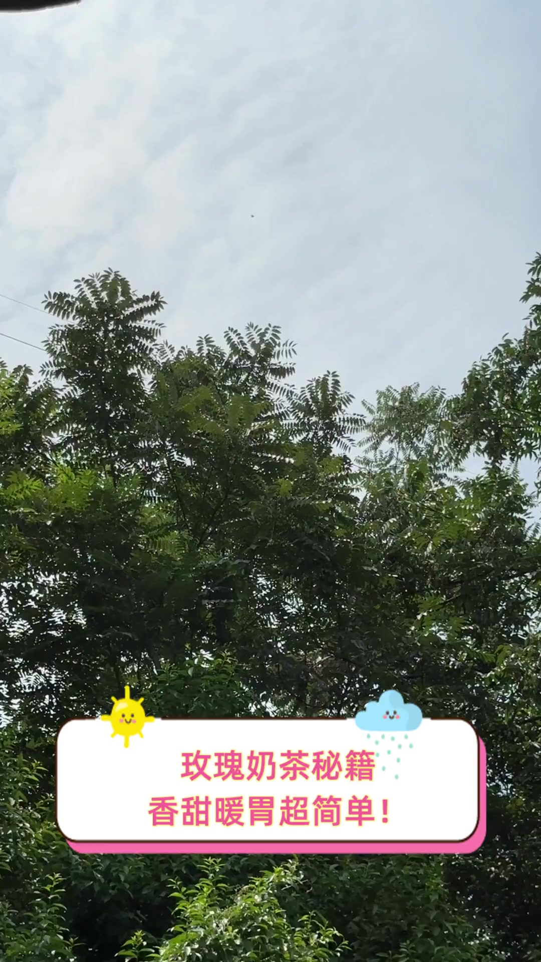 玫瑰奶茶秘籍,香甜暖胃超简单!