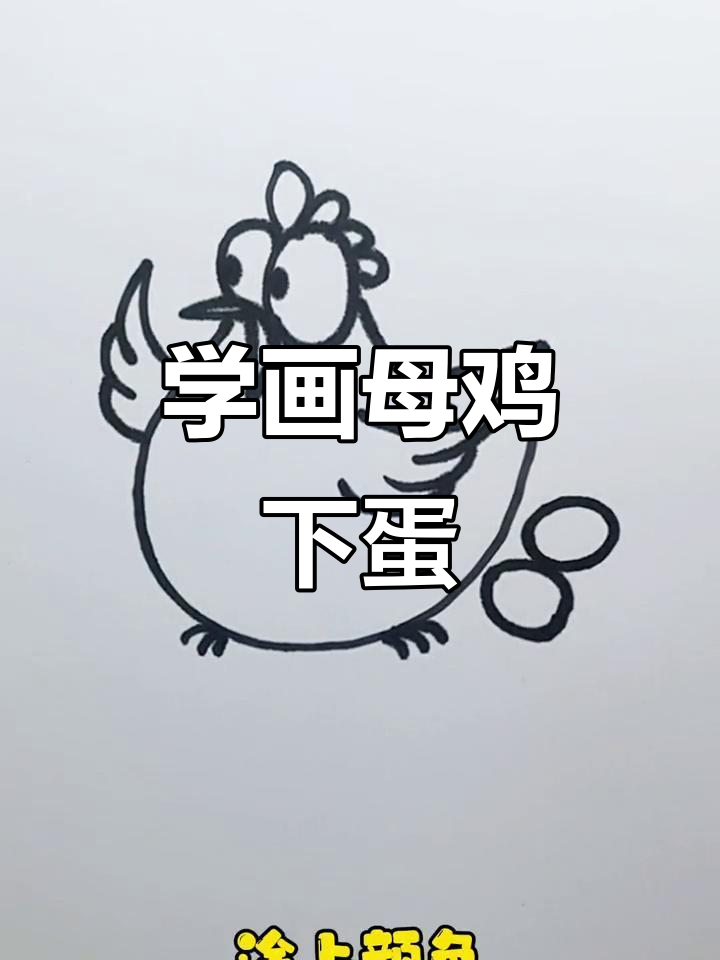 母鸡下蛋简笔画,轻松学会画可爱小鸡