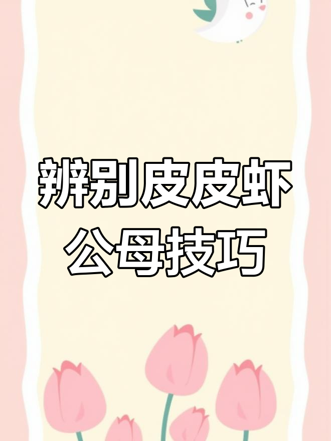 如何分辨皮皮虾公母,带黄与否一看就懂