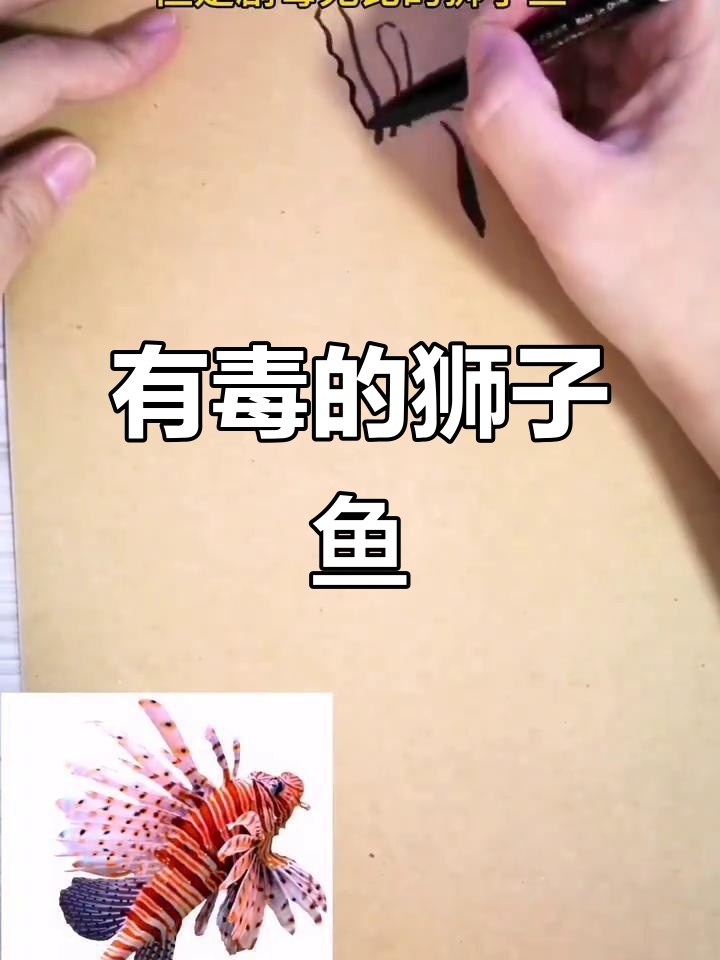 画出剧毒狮子鱼,颜值超高却致命