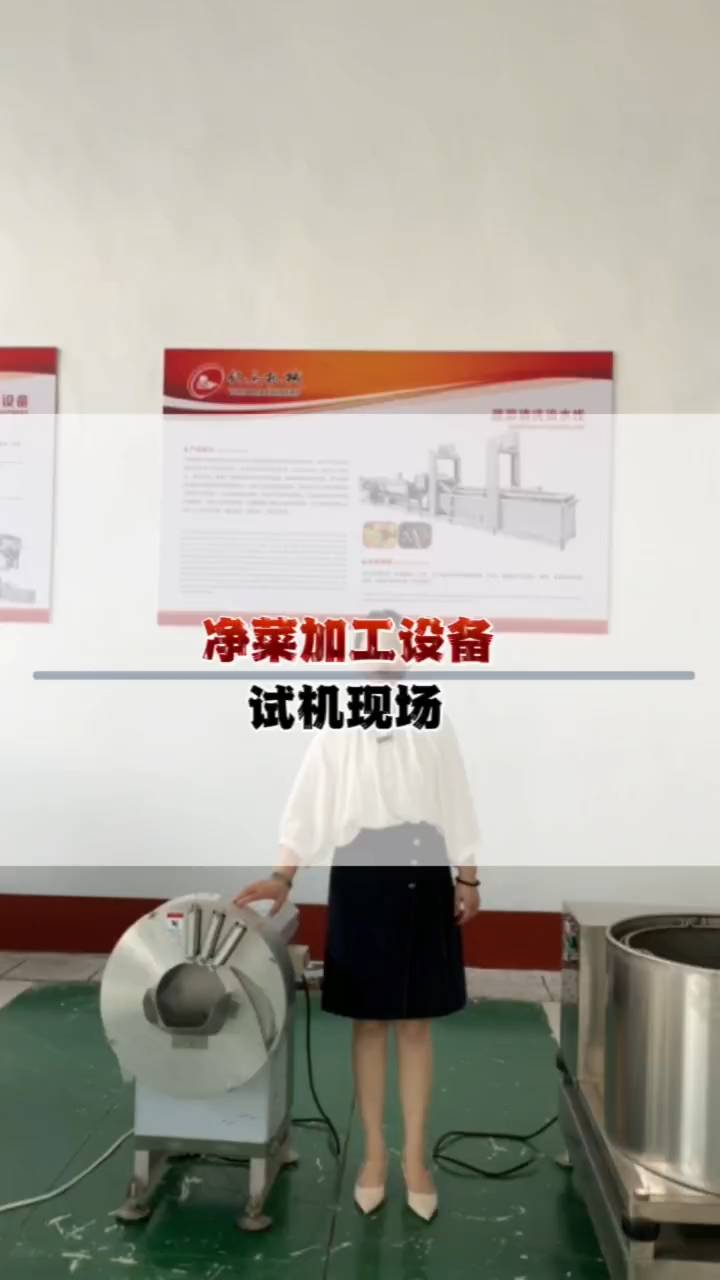 净菜加工流水线的试机