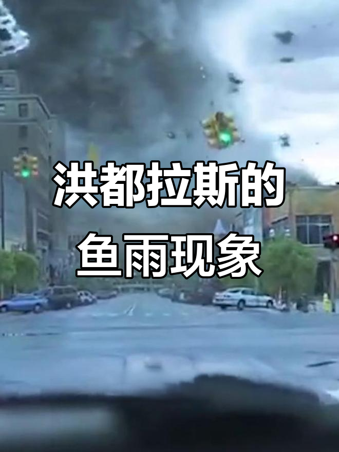 洪都拉斯夏季“鱼雨”奇观:龙卷风将鱼卷入空中