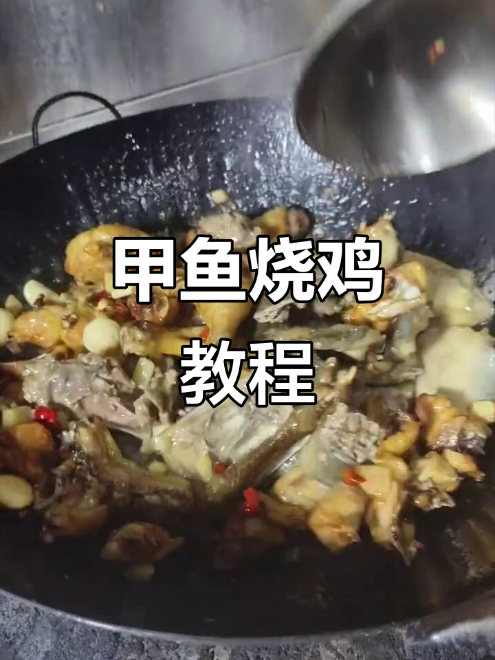 甲鱼烧鸡的独特做法,鲜香十足!