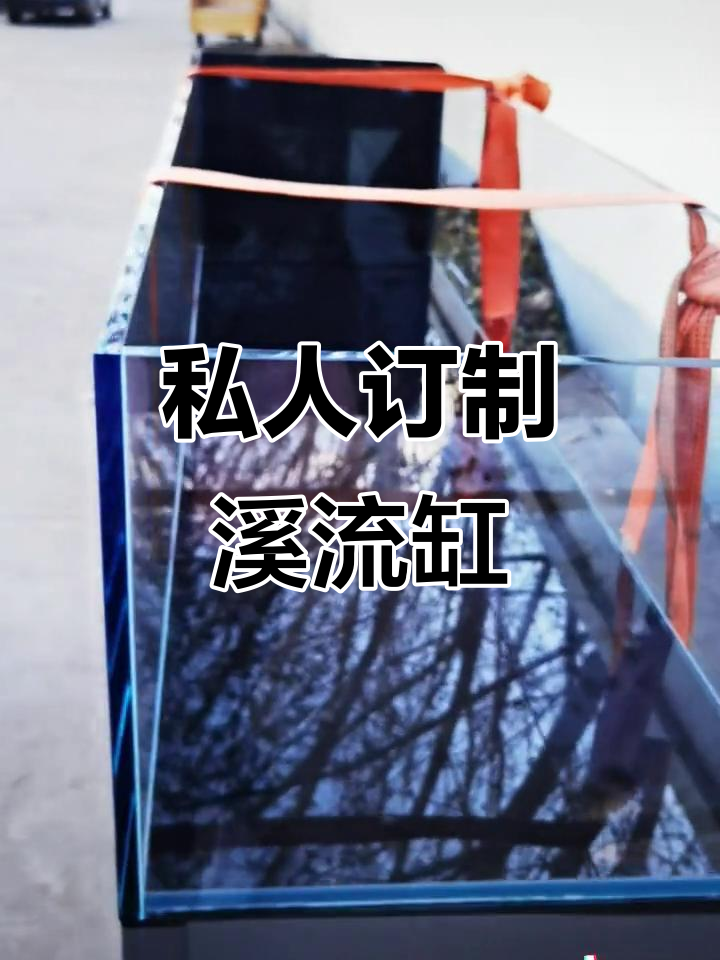 定制溪流缸,玻璃鱼梳与背板完美结合