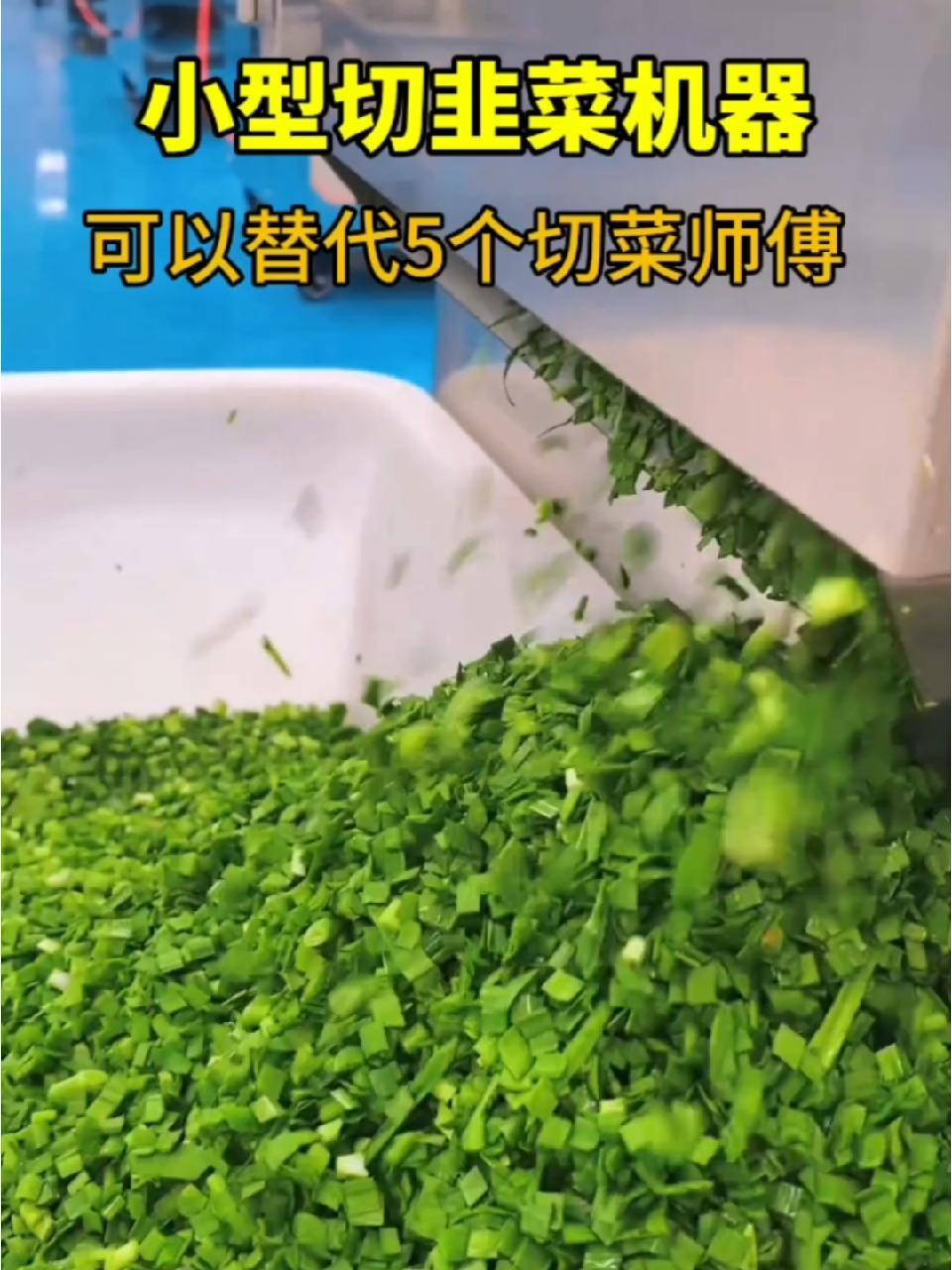 小型切韭菜机器,可以替代5个切菜师傅 切菜机 小型切菜机切包子馅饺子馅 小型切菜机 多功能