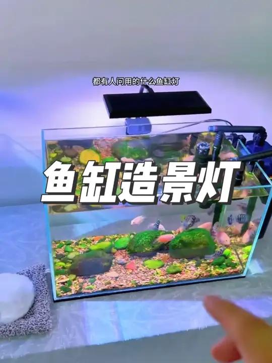 沃韦朗全光谱RGB鱼缸灯中小型夹灯水草缸增色水草灯LED小缸