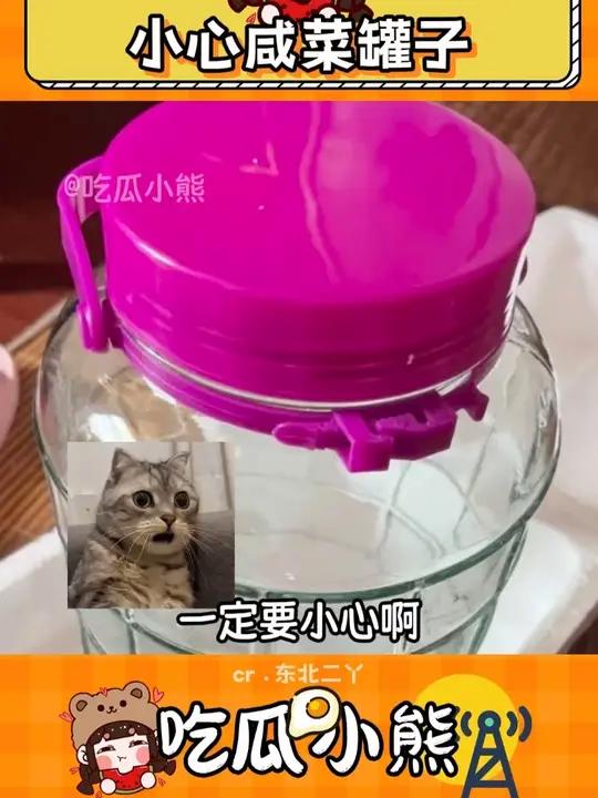 什么，咸菜罐子怎么还能伤人