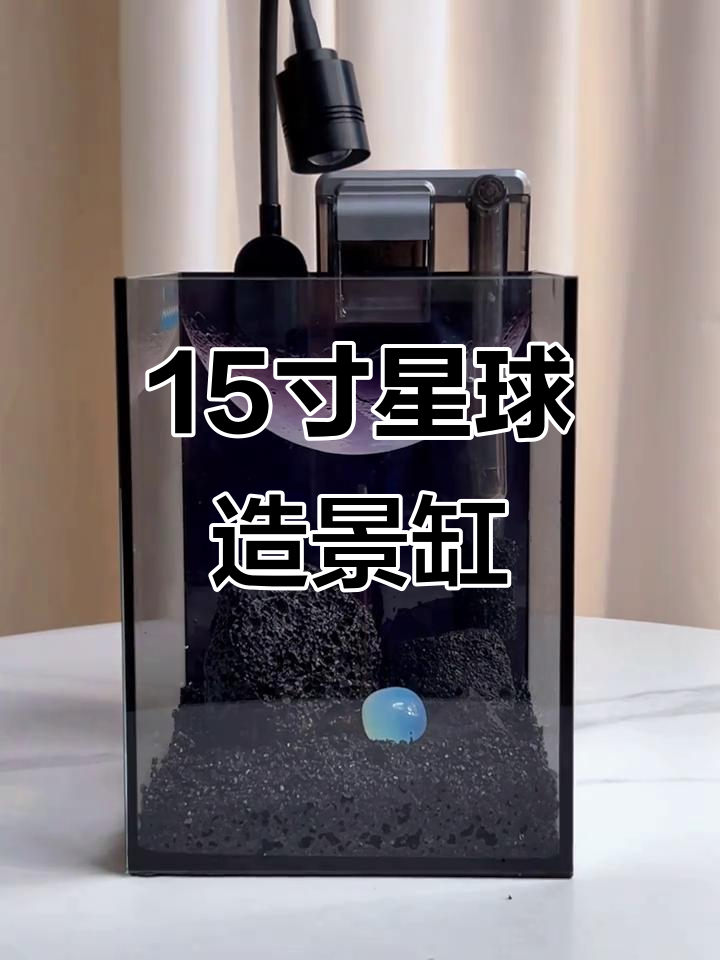 15寸星球造景缸全攻略，轻松打造自然光感鱼缸